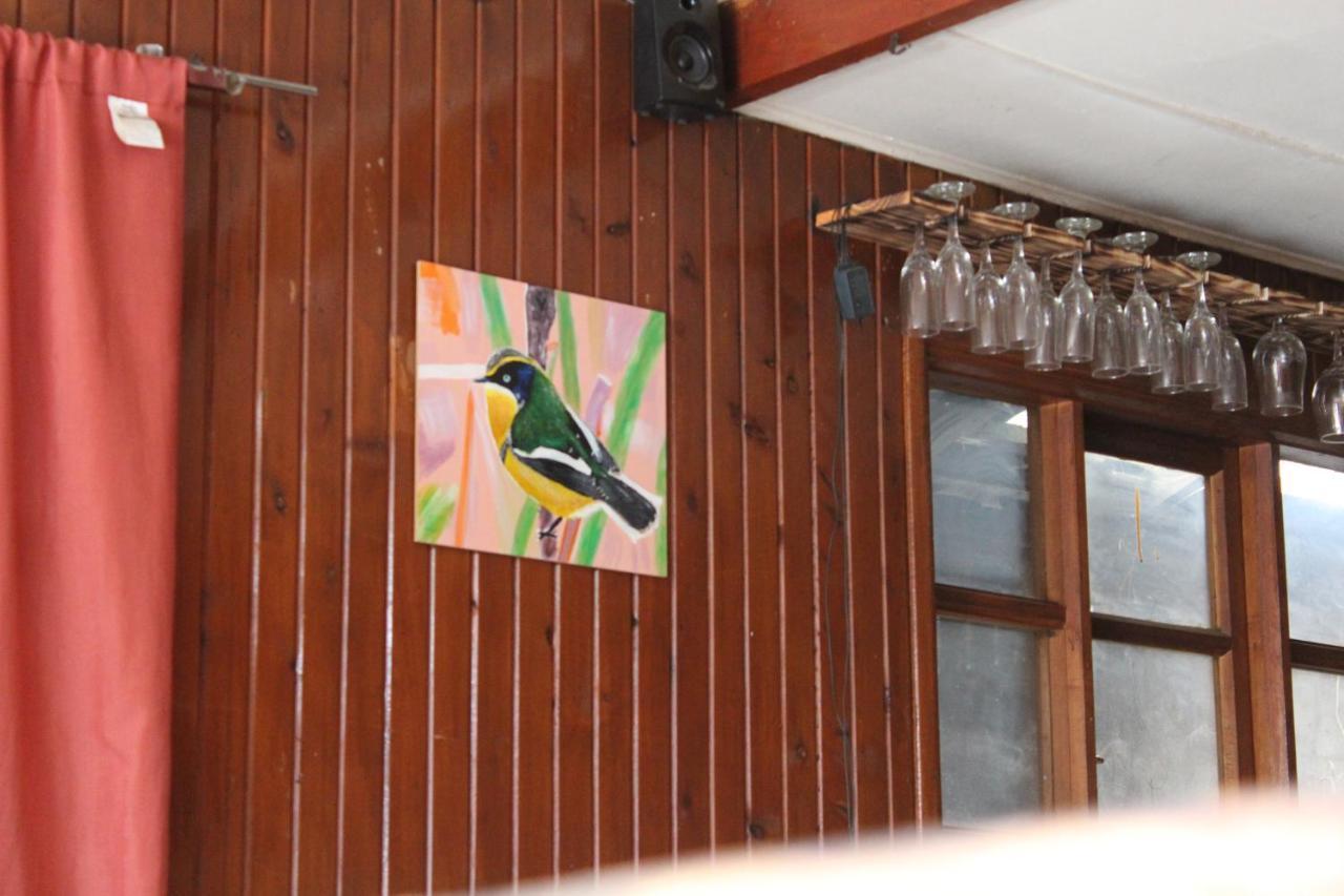 Casa Piwke Bed & Breakfast โกไยเก ภายนอก รูปภาพ